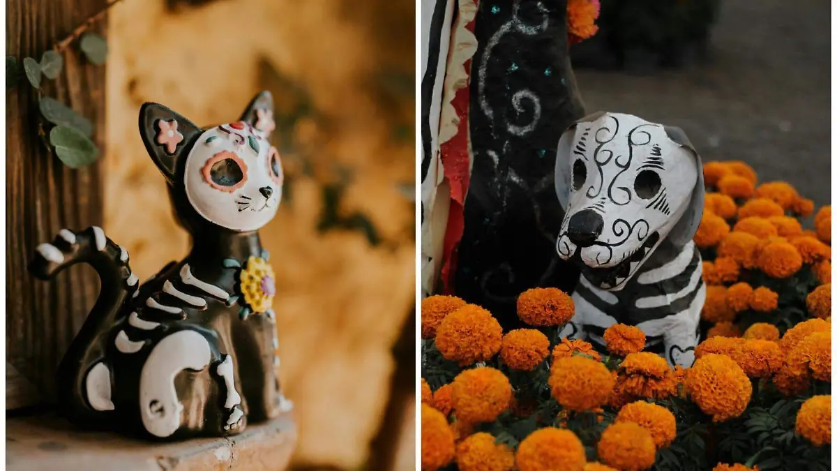 Mascotas Día de Muertos